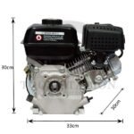 PETROL ENGINE 6.5 HP – DONGFONG